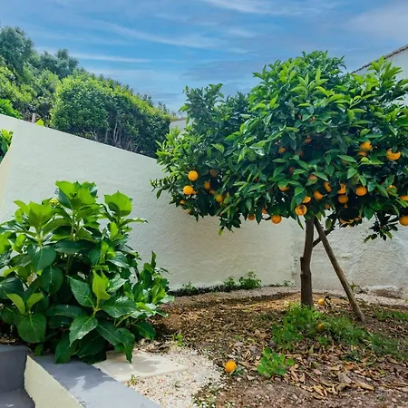 Mirasol - Casa Com Pátio No Centro De Apartamento